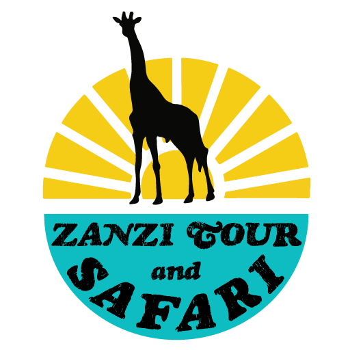 Zanzi Tour and Safari